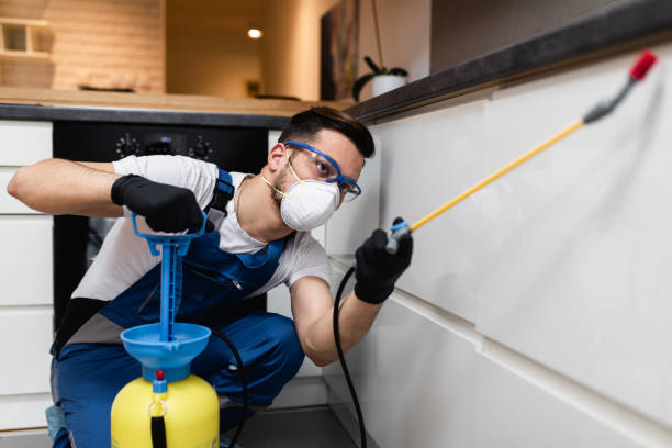 Best Pest Removal Services  in Killeen, TX
