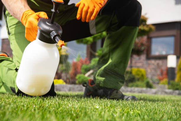 Best Best Pest Control Companies  in Killeen, TX