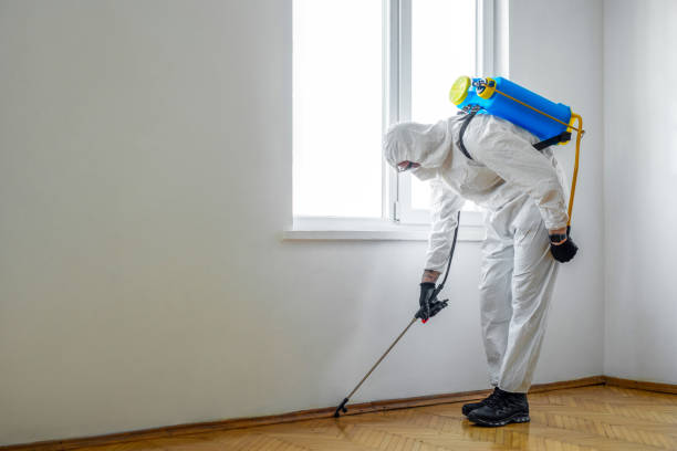 Best Exterminator Services  in Killeen, TX
