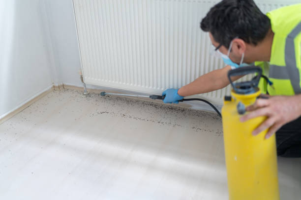 Best Best Pest Control Near Me  in Killeen, TX